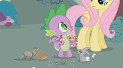 Size: 640x355 | Tagged: safe, screencap, fluttershy, spike, bird, chipmunk, dragon, ferret, pegasus, pony, rabbit, squirrel, dragonshy, god, smiling, youtube caption