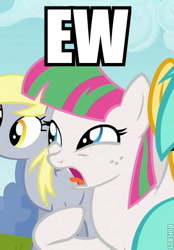 Size: 347x500 | Tagged: safe, screencap, blossomforth, derpy hooves, sunshower raindrops, pegasus, pony, hurricane fluttershy, background pony, caption, cropped, female, mare, reaction image, roflbot, solo focus