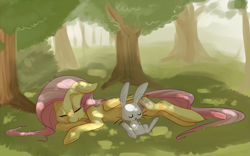 Size: 1125x700 | Tagged: safe, artist:php27, angel bunny, fluttershy, pegasus, pony, dappled sunlight, female, floppy ears, forest, mare, sleeping, tree