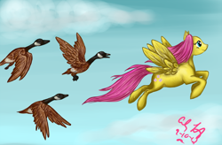 Size: 900x591 | Tagged: safe, artist:makomaragi, fluttershy, pegasus, pony, female, geese, mare, pink mane, yellow coat