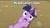 Size: 960x540 | Tagged: safe, derpibooru import, twilight sparkle, pony, unicorn, female, horn, image macro, mare, purple coat, purple mane, reaction image, solo