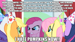 Size: 625x351 | Tagged: safe, derpibooru import, applejack, fluttershy, pinkie pie, rarity, twilight sparkle, earth pony, pegasus, pony, unicorn, image macro, misspelling, pinkamena diane pie, pumkin