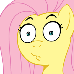 Size: 945x945 | Tagged: safe, artist:megasweet, fluttershy, pegasus, pony, female, mare, pink mane, reaction image, yellow coat