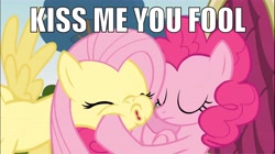 Size: 7366x4133 | Tagged: safe, artist:aponybrony, edit, edited screencap, screencap, fluttershy, pinkie pie, earth pony, pegasus, pony, too many pinkie pies, absurd resolution, caption, female, flutterpie, image macro, implied kissing, kiss me you fool, kissy face, lesbian, mare, shipping