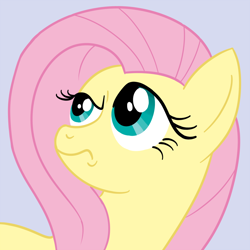 Size: 1000x1000 | Tagged: safe, artist:flashinthepan, fluttershy, pegasus, pony, female, mare, pink mane, reaction image, yellow coat