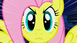 Size: 500x281 | Tagged: safe, fluttershy, pegasus, pony, animated, female, mare, pink mane, the stare, yellow coat