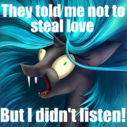 Size: 945x945 | Tagged: safe, artist:flamevulture17, edit, editor:watermelon changeling, queen chrysalis, changeling, changeling queen, broken tooth, crazy face, derp, exploitable meme, faic, female, i didn't listen, image macro, laughing, meme, shrunken pupils, solo