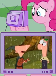 Size: 563x771 | Tagged: safe, pinkie pie, pony, exploitable meme, ferb fletcher, meme, no eyes, no mouth, phineas and ferb, phineas flynn, tv meme
