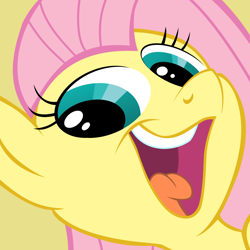 Size: 1200x1200 | Tagged: safe, artist:pikachux1000, fluttershy, pegasus, pony, reaction image, smeel, solo