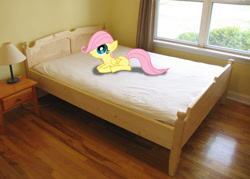 Size: 500x358 | Tagged: safe, artist:1vonreich123, fluttershy, pony, bed, end table, filly, irl, lamp, photo, ponies in real life