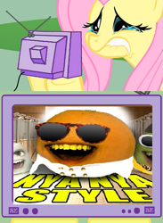 Size: 563x771 | Tagged: safe, fluttershy, pegasus, pony, exploitable meme, gangnam style, meme, tv meme, wat, why