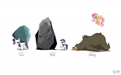 Size: 1920x1200 | Tagged: safe, artist:mysticalpha, fluttershy, harry, rarity, tom, bear, pegasus, pony, unicorn, discorded, filly, rock, wallpaper