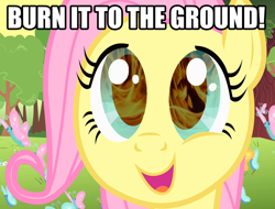 Size: 944x718 | Tagged: safe, fluttershy, butterfly, pegasus, pony, female, fire, image macro, mare