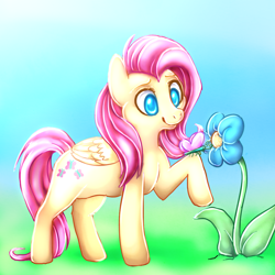 Size: 1000x1000 | Tagged: safe, artist:smoshen, fluttershy, pegasus, pony, female, mare, pink mane, solo, yellow coat