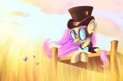 Size: 1500x981 | Tagged: safe, artist:subjectnumber2394, fluttershy, pegasus, pony, female, hat, mare, steampunk