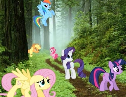 Size: 651x500 | Tagged: safe, derpibooru import, applejack, fluttershy, pinkie pie, rainbow dash, rarity, twilight sparkle, irl, photo, ponies in real life, ponies in the forest