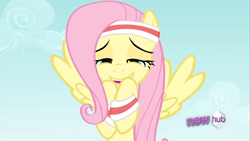 Size: 1920x1080 | Tagged: safe, screencap, fluttershy, pegasus, pony, hurricane fluttershy, hub logo, out of context, solo, squee, wallpaper