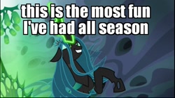 Size: 1024x576 | Tagged: safe, edit, edited screencap, screencap, queen chrysalis, changeling, changeling queen, evil grin, female, fourth wall, glowing eyes, grin, image macro, majestic, meme, power rangers, power rangers ninja storm, rearing, smiling, solo