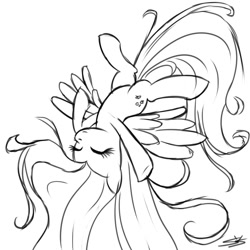 Size: 2000x2000 | Tagged: safe, artist:speccysy, fluttershy, pegasus, pony, high res, sketch, solo