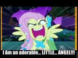 Size: 600x450 | Tagged: safe, edit, edited screencap, screencap, fluttershy, pegasus, pony, the best night ever, angry, caption, cats don't dance, clothes, darla dimple, dress, ei, flutterrage, gala dress, hub logo, movie quote, roflbot, solo
