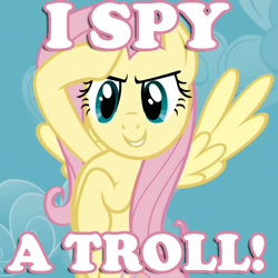 Size: 700x700 | Tagged: safe, fluttershy, pegasus, pony, troll, caption, image macro, reaction image