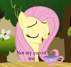 Size: 320x304 | Tagged: safe, fluttershy, pegasus, pony, female, mare, no cup, pink mane, tea, yellow coat