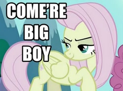 Size: 402x297 | Tagged: safe, edit, edited screencap, screencap, fluttershy, pegasus, pony, the return of harmony, bedroom eyes, caption, discorded, female, flutterbitch, image macro, mare