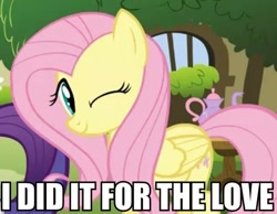 Size: 599x466 | Tagged: safe, screencap, fluttershy, rarity, pegasus, pony, unicorn, stare master, caption, image macro, wink