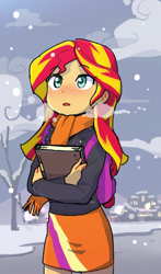 Size: 586x1000 | Tagged: dead source, safe, artist:baekgup, sunset shimmer, equestria girls, blushing, book, clothes, cute, female, jacket, journey book, moe, scarf, shimmerbetes, skirt, snow, snowfall, solo, winter