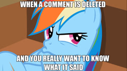 Size: 1366x768 | Tagged: safe, derpibooru import, rainbow dash, pegasus, pony, derpibooru, image macro, meme, meta, pouting, solo, upset, when x and y