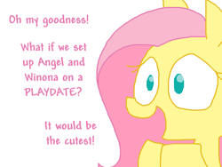 Size: 800x600 | Tagged: safe, artist:the weaver, fluttershy, pegasus, pony, dialogue, simple background, solo, this will end in tears, this will end in tears and/or death, white background