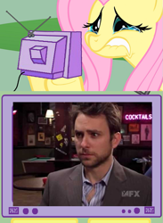 Size: 563x771 | Tagged: safe, fluttershy, pegasus, pony, charlie kelly, exploitable meme, fluttercry, frank reynolds, it's always sunny in philadelphia, king of the rats, mac bangs dennis' mom, meme, tv meme, waitress