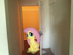 Size: 1600x1200 | Tagged: safe, artist:bjtmugen, fluttershy, pony, doorway, irl, photo, ponies in real life