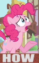 Size: 689x1107 | Tagged: safe, edit, edited screencap, screencap, pinkie pie, earth pony, pony, image macro, meme, why.jpg