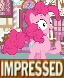 Size: 714x874 | Tagged: safe, pinkie pie, earth pony, pony, female, image macro, mare, meme, pink coat, pink mane, why.jpg