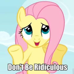 Size: 680x680 | Tagged: safe, fluttershy, pegasus, pony, caption, female, image macro, mare, reaction image