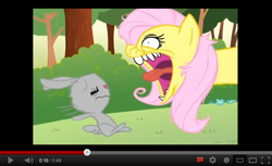 Size: 637x390 | Tagged: safe, fluttershy, pegasus, pony, rabbit, animated, female, mare, pet, pink mane, song parody, yellow coat