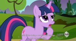 Size: 1577x855 | Tagged: safe, derpibooru import, screencap, twilight sparkle, youtube caption, youtube link