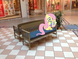 Size: 3264x2448 | Tagged: safe, artist:serindo, fluttershy, pony, bench, bra, clothes, high res, irl, mall, photo, ponies in real life, reading, store, underwear, vector