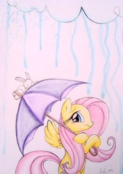 Size: 452x640 | Tagged: safe, artist:prettypinkpony, fluttershy, pegasus, pony, rabbit, solo, traditional art