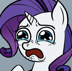 Size: 504x500 | Tagged: safe, rarity, pony, unicorn, biporarity, crying, reaction image, sad, solo