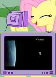 Size: 563x771 | Tagged: safe, fluttershy, pegasus, pony, discovery, discovery channel, exploitable meme, meme, tv meme