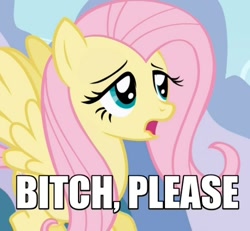 Size: 500x462 | Tagged: safe, edit, edited screencap, screencap, fluttershy, pegasus, pony, bitch please, caption, image macro, reaction image, vulgar