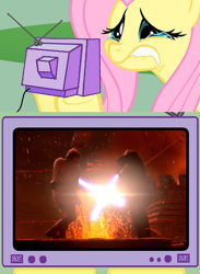 Size: 563x771 | Tagged: safe, fluttershy, pegasus, pony, anakin skywalker, exploitable meme, fluttercry, meme, obi wan kenobi, obligatory pony, revenge of the sith, star wars, tv meme