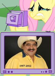 Size: 564x772 | Tagged: safe, fluttershy, pegasus, pony, bronco(musical group), choche, exploitable meme, gigante de america(musical group), implied death, meme, tv meme