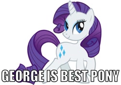 Size: 430x303 | Tagged: safe, rarity, pony, unicorn, best pony, female, george, horn, image macro, mare, solo