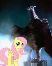 Size: 453x570 | Tagged: safe, fluttershy, kaiju, pegasus, pony, crossover, godzilla (series), rodan