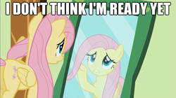 Size: 625x351 | Tagged: safe, edit, edited screencap, screencap, fluttershy, pegasus, pony, a bird in the hoof, image macro, mane