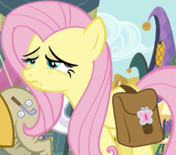 Size: 501x442 | Tagged: safe, screencap, fluttershy, geri, pegasus, pony, putting your hoof down, animated, reaction image, saddle bag, upset