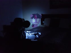 Size: 4320x3240 | Tagged: safe, artist:emedina13, derpibooru import, night light, twilight sparkle, camera, computer, irl, photo, ponies in real life, twilight snapple, vector